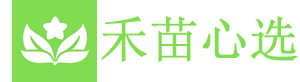 Booom! Logo